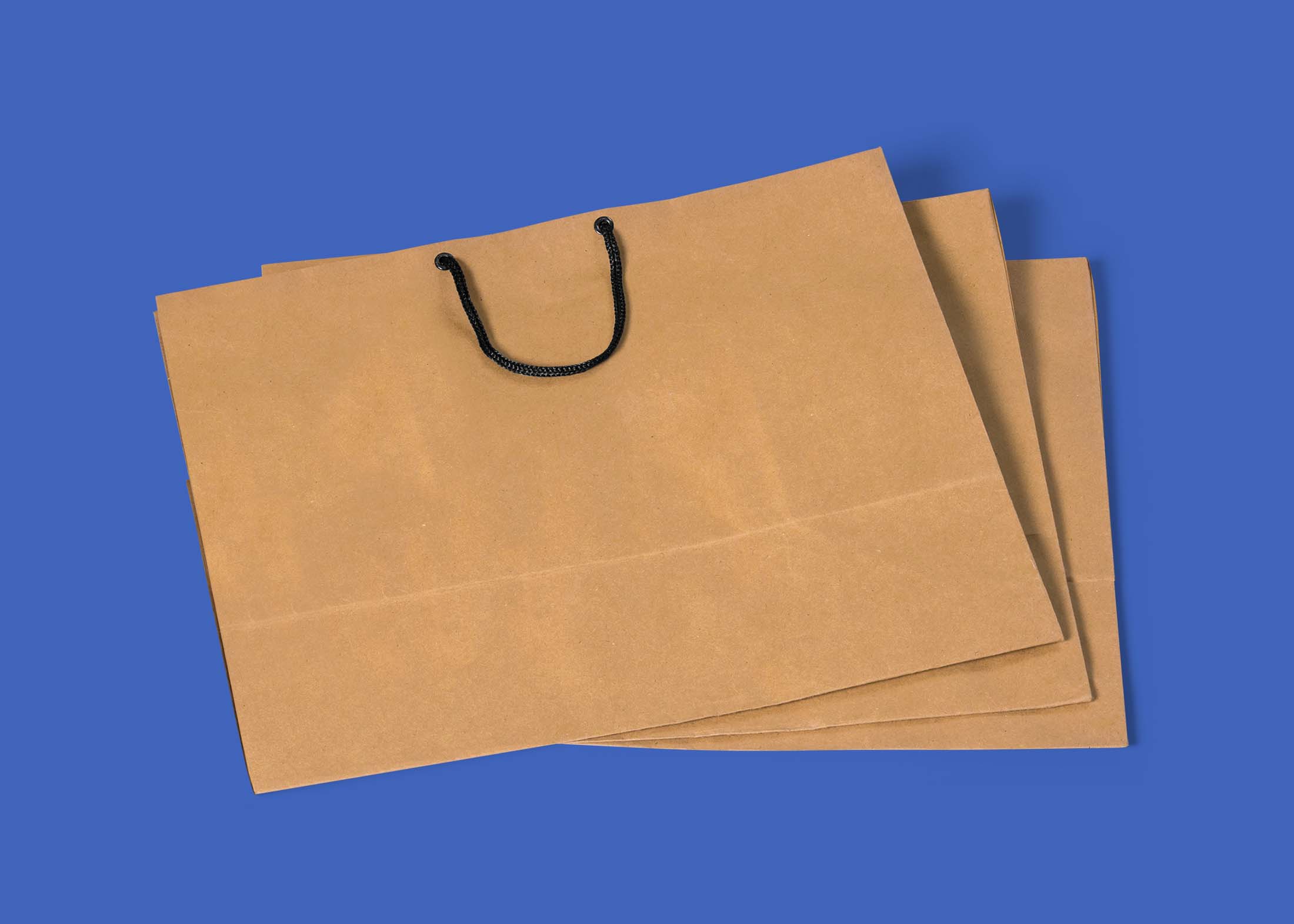 Free Empty Paper Shopping Bag Mockup